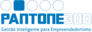 Pantone300