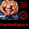 Papildaipigiau.lt's logo Papildaipigiau.lt's Company logo