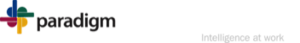 Paradigm Software Technologies