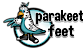 Parakeet Feet