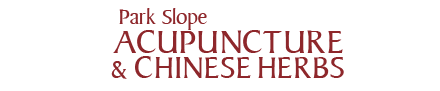 Park Slope Acupuncture Pllc