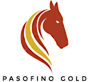 Pasofino Gold's logo Pasofino Gold's Company logo