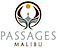 Passagesventura's Competitor - Passagesmalibu logo