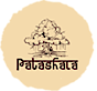 Patashala's logo Patashala's Company logo