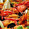 Patipaella