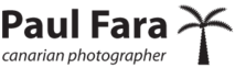 Paul Fara's logo Paul Fara's Company logo
