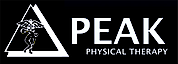 Peakpt's logo Peakpt's Company logo