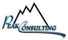 Peak Consulting's logo Peak Consulting's Company logo