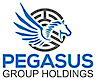 Pegasus Group Holdings
