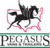 Pegasusvans