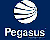 Pegasus Management Pty Ltd's logo Pegasus Management Pty Ltd's Company logo