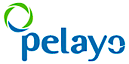 Pelayo Seguros