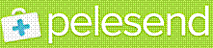 Pelesend's logo Pelesend's Company logo