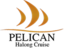 Pelicancruise