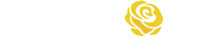 Seniorcareauditors