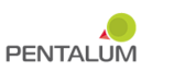 Pentalum Technologies's logo Pentalum Technologies's Company logo
