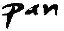 Performance Assessment Network's logo Performance Assessment Network's Company logo