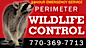 Perimeterwildlifecontrol