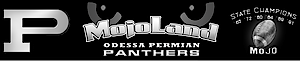 Permian Panther Mojo Football