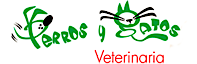 Perros Y Gatos's logo Perros Y Gatos's Company logo