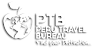 Ptb's company profile