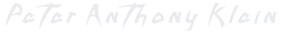 Peteranthonyklein's logo Peteranthonyklein's Company logo