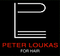 Peter Loukas Hair Salon's logo Peter Loukas Hair Salon's Company logo