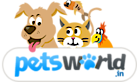 Petsworld.co.in's logo Petsworld.co.in's Company logo