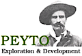 Peyto's logo Peyto's Company logo
