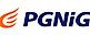 Orlen's Competitor - PGNiG SA logo