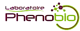 Laboratoire Phenobio