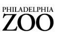 Philly Zoo