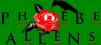 Phoebe Allens Hummingbird Webcam's logo Phoebe Allens Hummingbird Webcam's Company logo