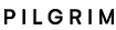 Beeline GmbH's Competitor - pilgrim.net logo