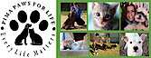 Pima Paws For Life's logo Pima Paws For Life's Company logo
