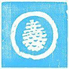 Pine Cove Christian Camps