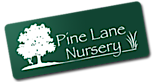 Pinelanenursery