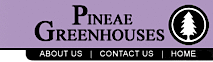 Pineae Greenhouses