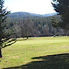 Pinehurst Golf Course's logo Pinehurst Golf Course's Company logo