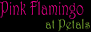 Pink Flamingo at Petals