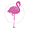 Pink Flamingo Studios