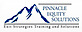 This Way Out Group's Competitor - Pinnacleequitysolutions logo