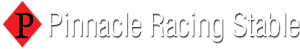 Pinnacle Racing Stables's logo Pinnacle Racing Stables's Company logo