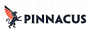 Pinnacus's logo Pinnacus's Company logo