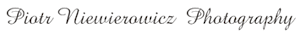 Piotr Niewierowicz's logo Piotr Niewierowicz's Company logo