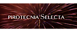 Pirotecnia Selecta's logo Pirotecnia Selecta's Company logo