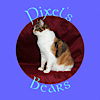 Pixel's Bears's logo Pixel's Bears's Company logo