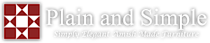 Plain and Simple's logo Plain and Simple's Company logo