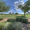 Platinum Premier Realty
