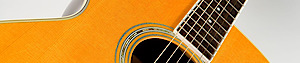 Playsmartguitar's logo Playsmartguitar's Company logo